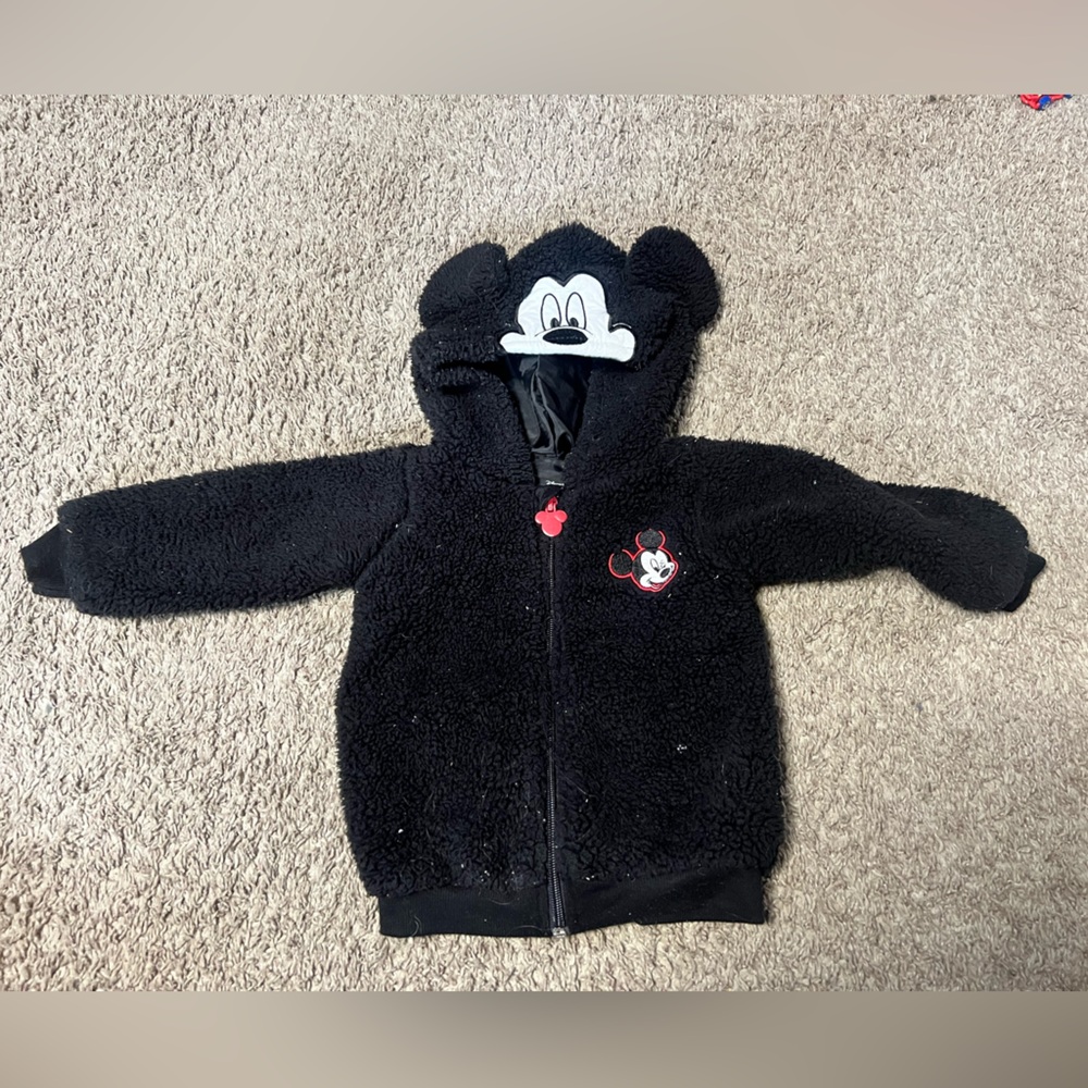 2T Mickey Hoody